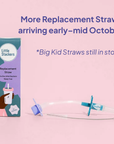 Replacement Straw (Weighted)