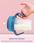 Weighted Straw Sippy Cup Two Pack